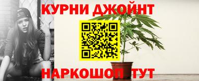 сатива Балаково