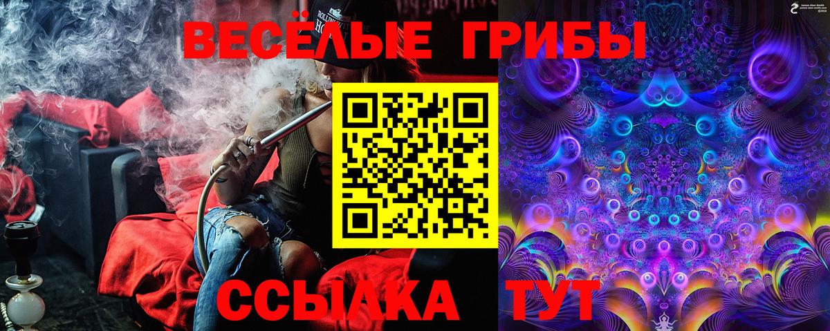Псилоцибиновые грибы MAGIC MUSHROOMS  Галлюциногенные грибы Psilocybine cubensis  Вход с VPN  Димитровград 