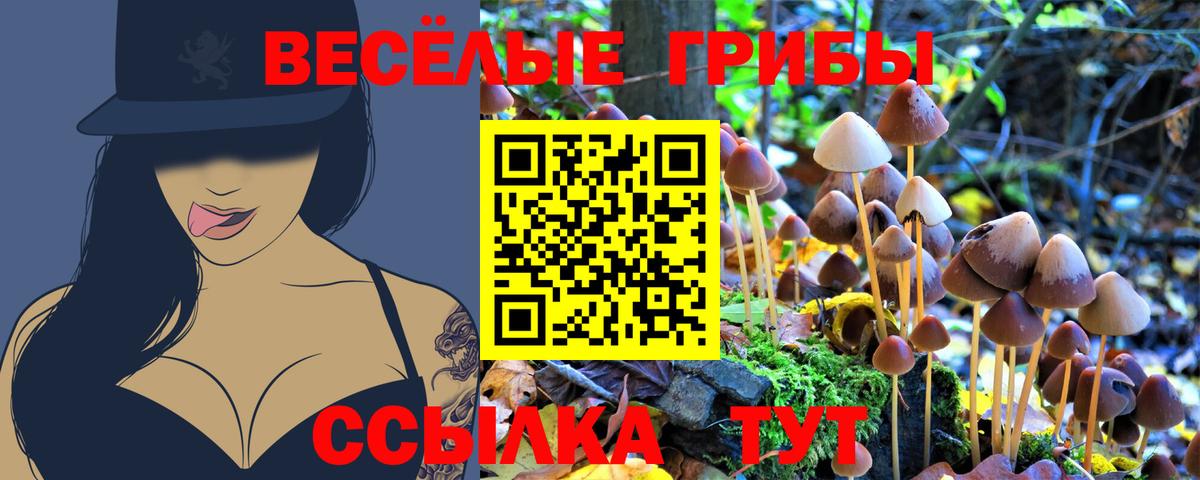Галлюциногенные грибы мицелий Димитровград